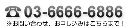 03-6666-6886